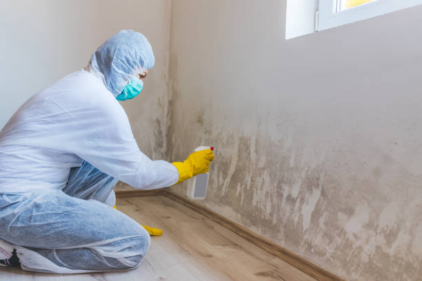 Mold inspector in River Grove performing thermal imaging